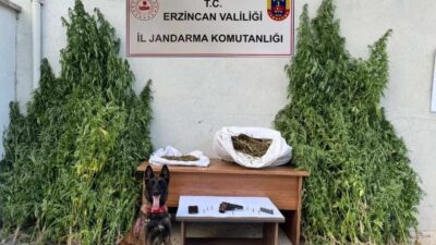 Erzincan Valiliği İl Jandarma Komutanlığı tarafından Refahiye ilçesinde gerçekleştirilen operasyonda