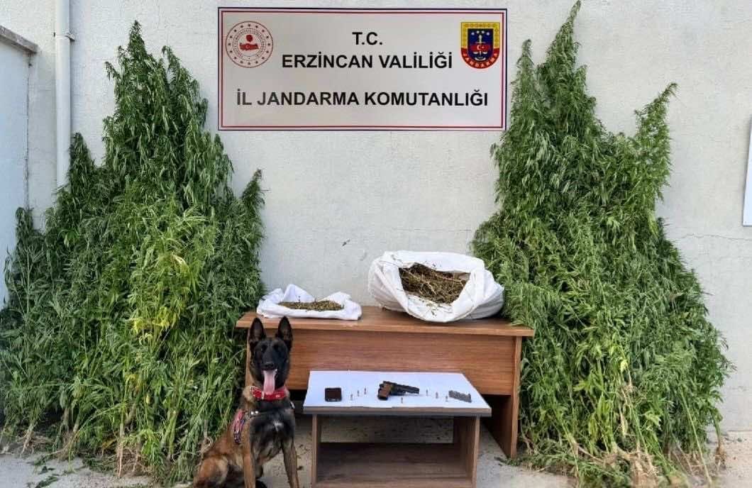 Erzincan Valiliği İl Jandarma Komutanlığı tarafından Refahiye ilçesinde gerçekleştirilen operasyonda