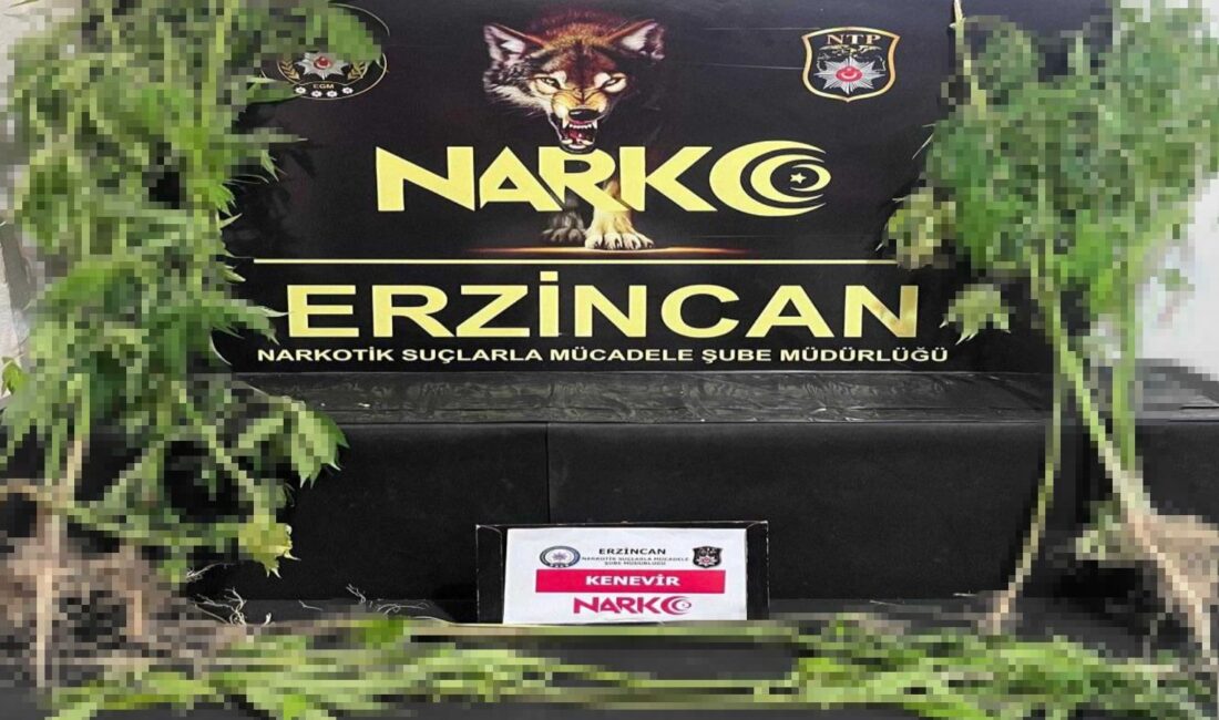 Uyuşturucu ile mücadelesini aralıksız sürdüren Erzincan Polisi gerçekleştirdiği çalışma kapsamında,