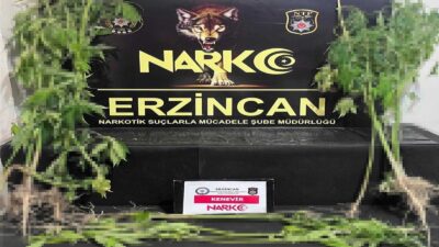 Uyuşturucu ile mücadelesini aralıksız sürdüren Erzincan Polisi gerçekleştirdiği çalışma kapsamında,