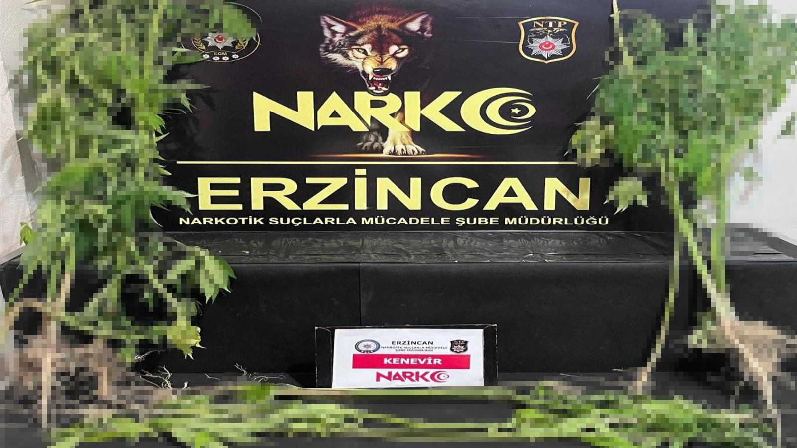 Uyuşturucu ile mücadelesini aralıksız sürdüren Erzincan Polisi gerçekleştirdiği çalışma kapsamında,