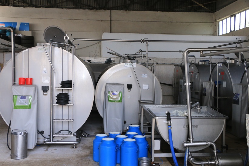 Ticari süt işletmeleri tarafından toplanan inek sütü miktarı, Haziran ayında