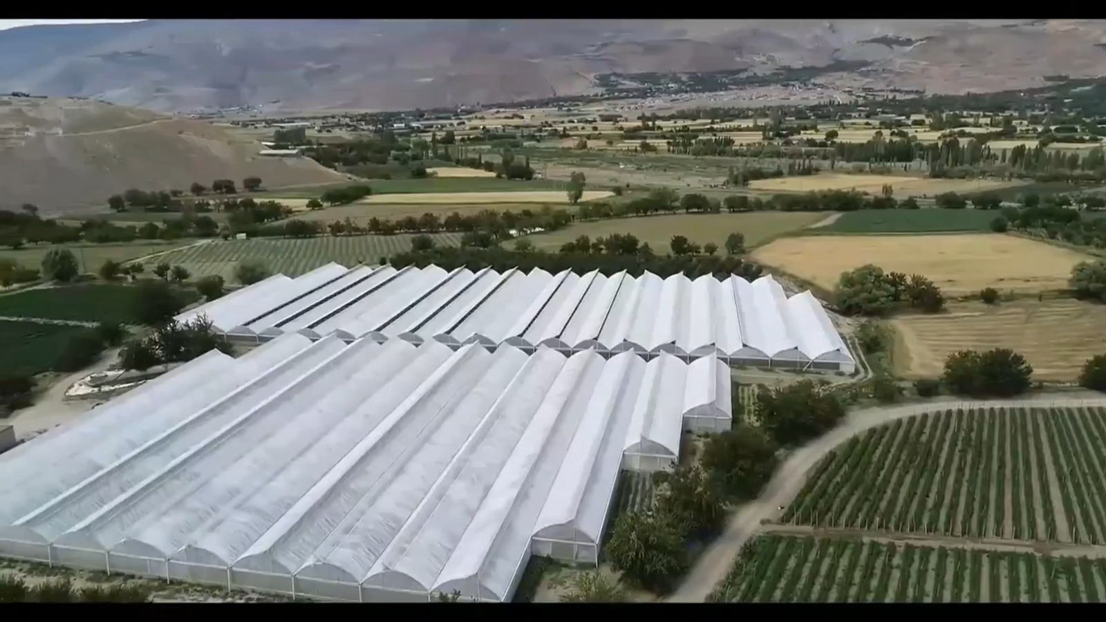 Erzincan’da son yıllarda büyük gelişme gösteren seracılık sektörüne yönelik desteklemeler