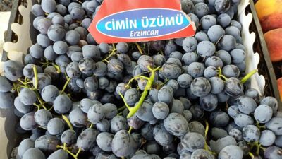Kendine has tadı ile Erzincan’ın tarımsal ürünlerinden tescilli Cimin Üzümü