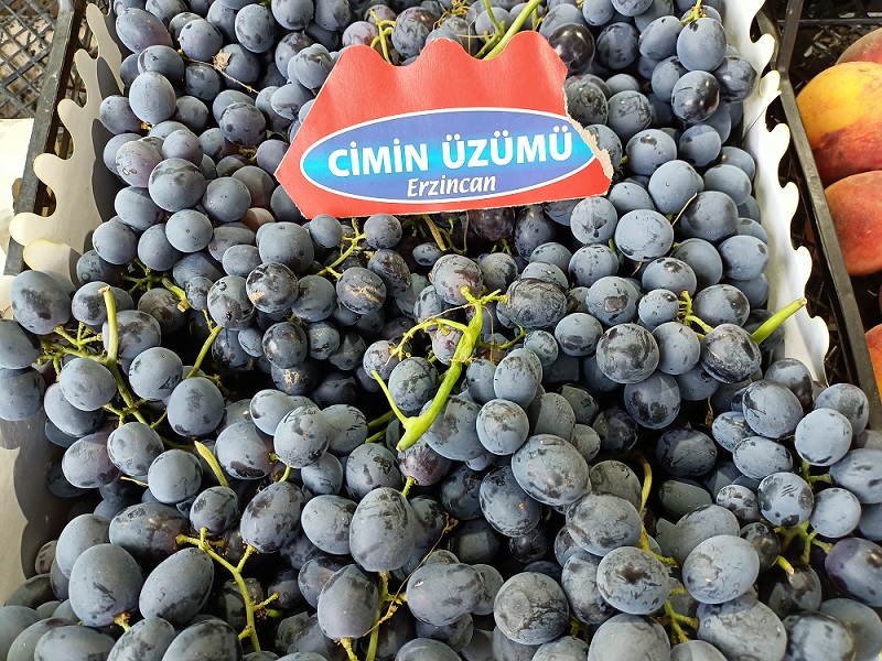 Kendine has tadı ile Erzincan’ın tarımsal ürünlerinden tescilli Cimin Üzümü