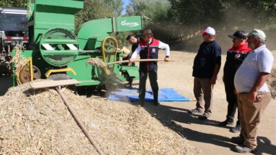 Erzincan’ın meşhur tarımsal ürünleri arasında yer alan ve sofralarda sevilerek