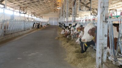 Erzincan’da son dönemlerin en hızlı, en titiz kampanyalarından biri yürütülüyor.