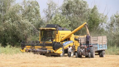 Erzincan'da ekipler tarla tarla dolaşarak Bakanlık ve Valilik tarafından belirlenen