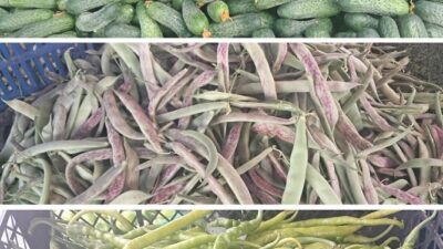 Erzincan’da mevsimin son mahsulü turşuluk ürünler pazardaki yerini aldı. Kornişon,