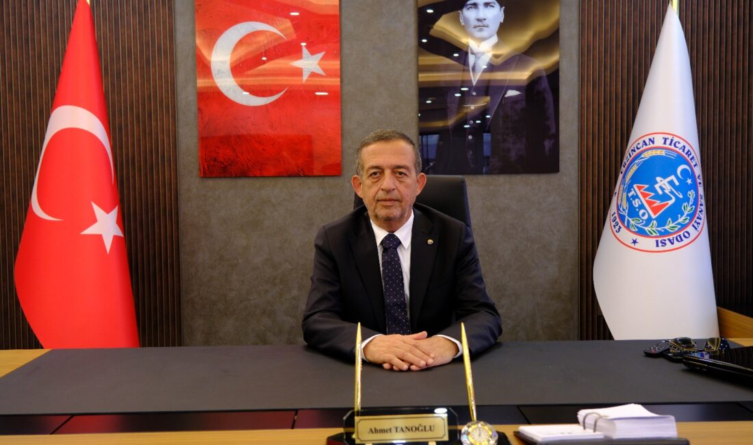 Erzincan Ticaret ve Sanayi Odası (Erzincan TSO) Yönetim Kurulu Başkanı