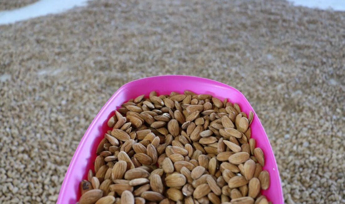 Erzincan’ın Kemaliye ilçesine bağlı Ocak Köyü’nde hayallerini gerçekleştiren Rıza Erman,