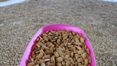 Erzincan’ın Kemaliye ilçesine bağlı Ocak Köyü’nde hayallerini gerçekleştiren Rıza Erman,