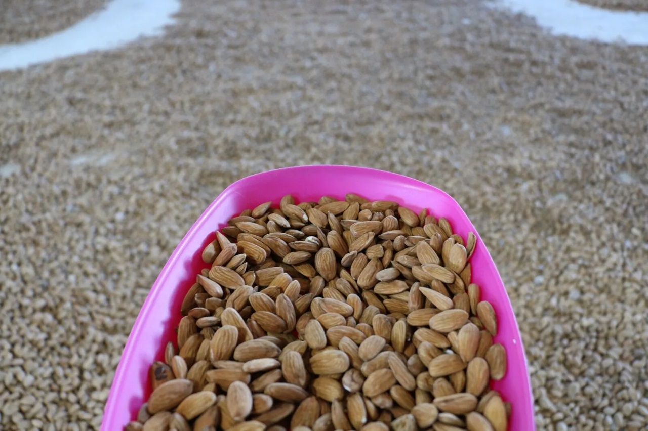 Erzincan’ın Kemaliye ilçesine bağlı Ocak Köyü’nde hayallerini gerçekleştiren Rıza Erman,