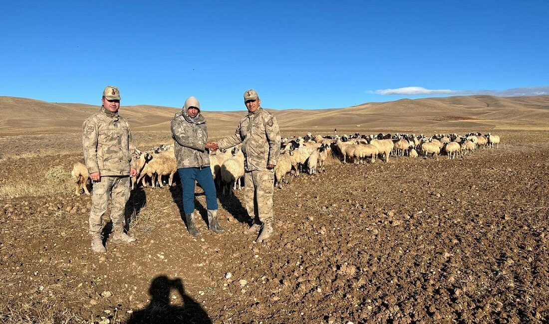 Erzincan’ın Çayırlı ilçesinde kaybolan 300 adet küçükbaş hayvan jandarma ekipleri