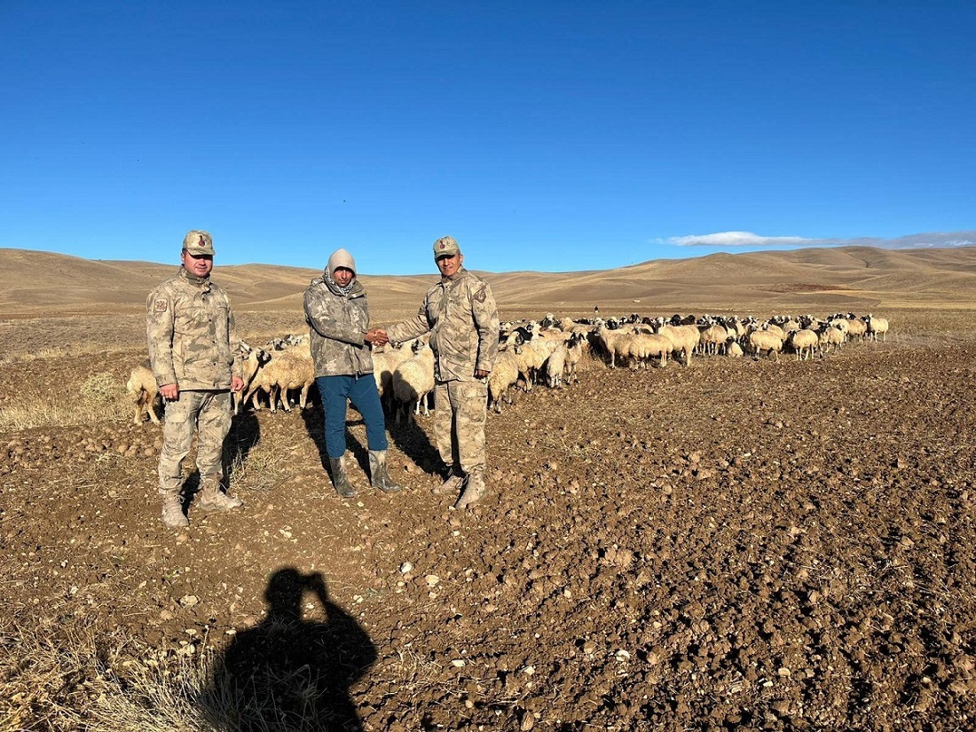 Erzincan’ın Çayırlı ilçesinde kaybolan 300 adet küçükbaş hayvan jandarma ekipleri