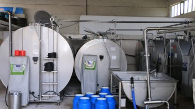 Ticari süt işletmeleri tarafından toplanan inek sütü miktarı, Temmuz ayında