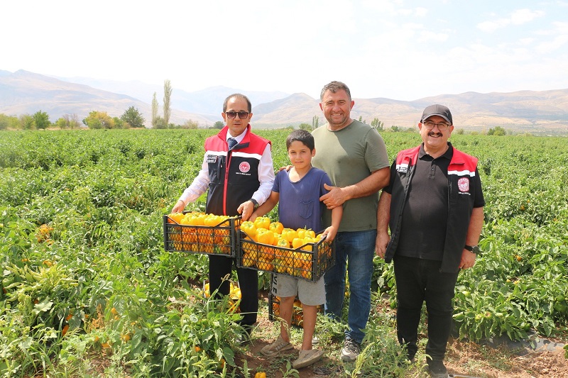 Erzincan coğrafyası, iklimi, suyu, bereketli toprakları ve yeniliklere açık, yüzü