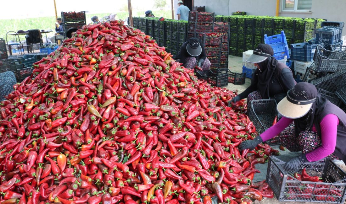 Erzincan’a üretim ve istihdam alanında değerli katkılar sağlayan sektörlerin başında