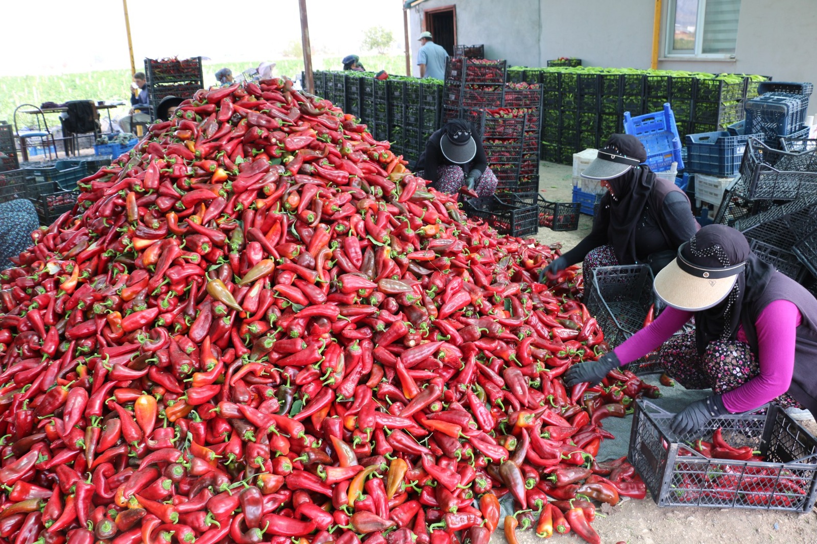 Erzincan’a üretim ve istihdam alanında değerli katkılar sağlayan sektörlerin başında