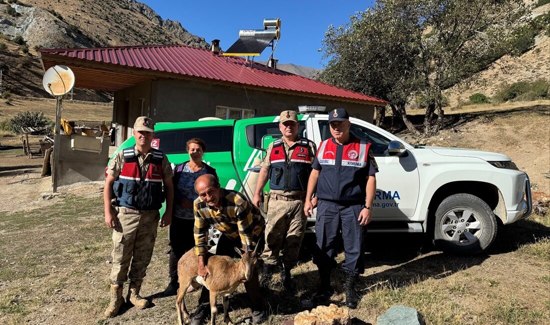 Erzincan Üzümlü ilçesi Kureyşlisarıkaya Köyü Gülpınar Mezrasında ikmet eden Mehmet