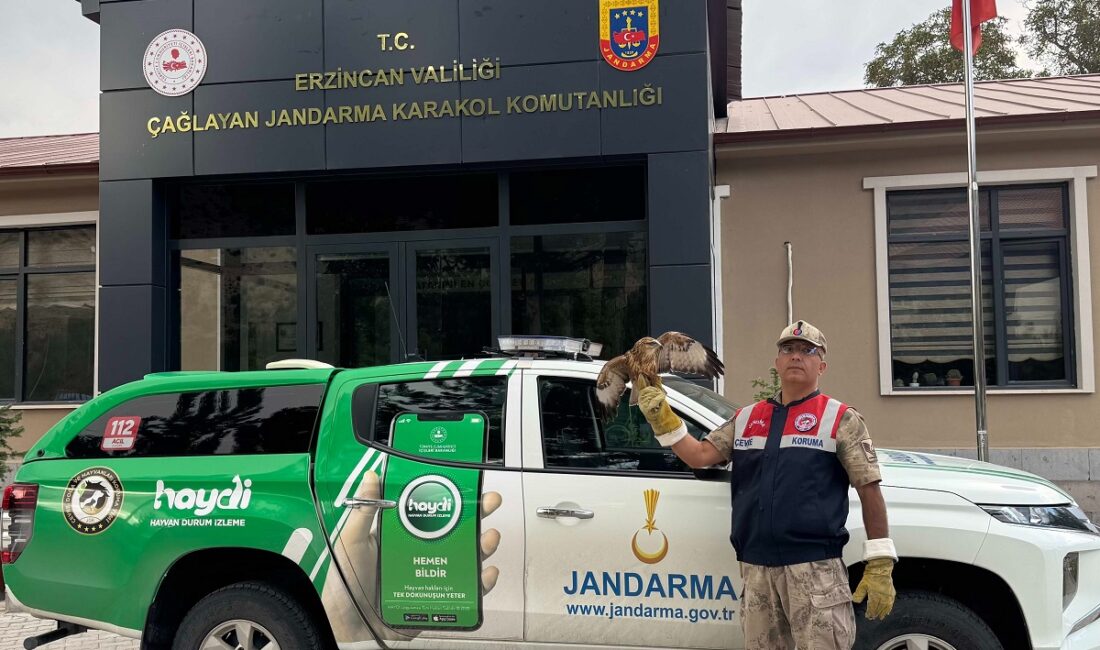 Çağlayan Jandarma Karakol Komutanlığı sorumluluk bölgesinde yaralı halde vatandaşlar tarafından