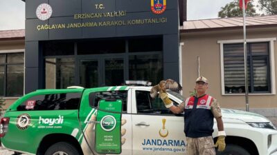 Çağlayan Jandarma Karakol Komutanlığı sorumluluk bölgesinde yaralı halde vatandaşlar tarafından