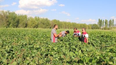 Erzincan tarım sektöründe ürün deseni genişlemeye devam ediyor. Erzincan Merkeze