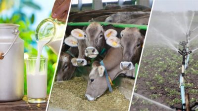 Tarım ve Orman Bakanı İbrahim Yumaklı, 4 milyar 540 milyon