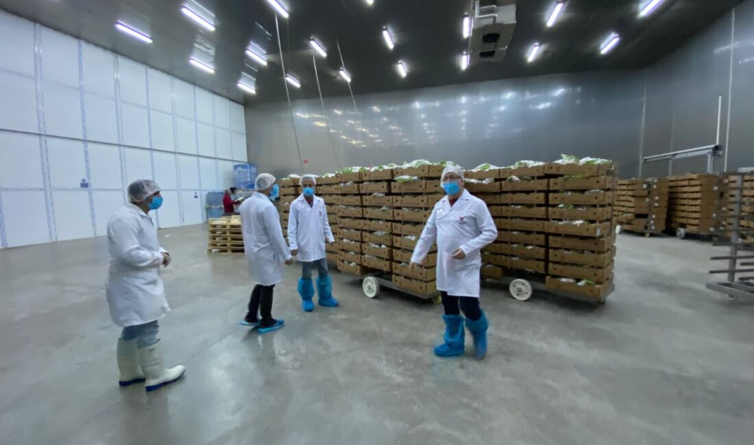 Tarım ve Orman Bakanlığı’nın ülke genelindeki Kanatlı Kesimhanelerinin denetlenmesi talimatı