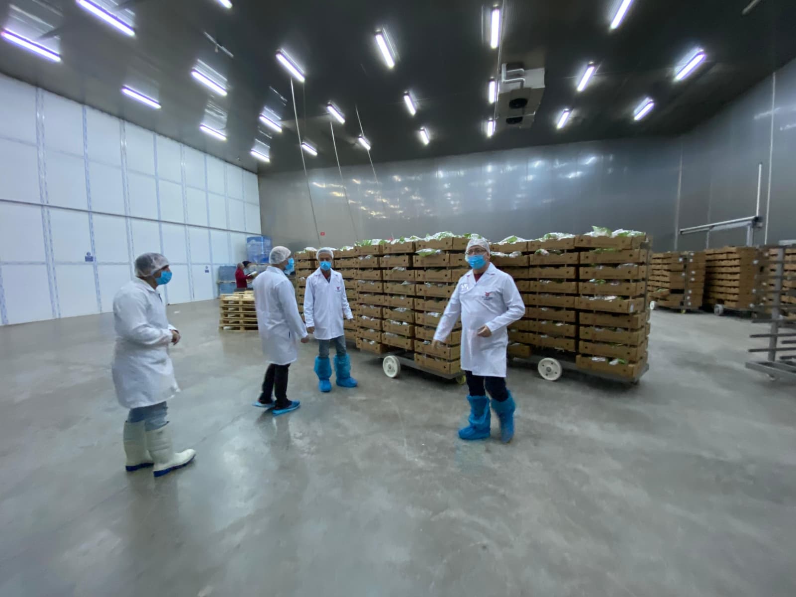 Tarım ve Orman Bakanlığı’nın ülke genelindeki Kanatlı Kesimhanelerinin denetlenmesi talimatı