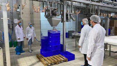 Tavuk eti üretimi 229 bin 965 ton, tavuk yumurtası üretimi