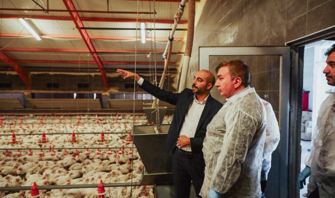 Erzincan Valisi Hamza Aydoğdu, Tarım ve Kırsal Kalkınmayı Destekleme Kurumu