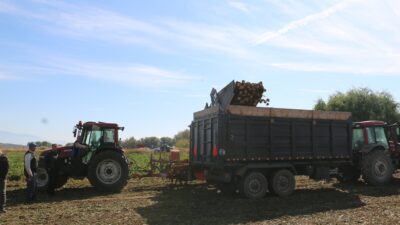 Kış mevsiminin yaklaşmasıyla birlikte Erzincan ve ilçelerinde şekerpancarı hasadı tüm