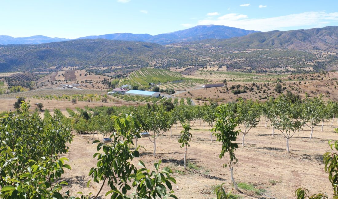 Erzincan’ın Kemah ilçesinde yer alan 1398 rakımlı Özdamar köyüne 2011