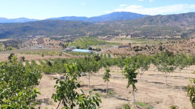 Erzincan’ın Kemah ilçesinde yer alan 1398 rakımlı Özdamar köyüne 2011