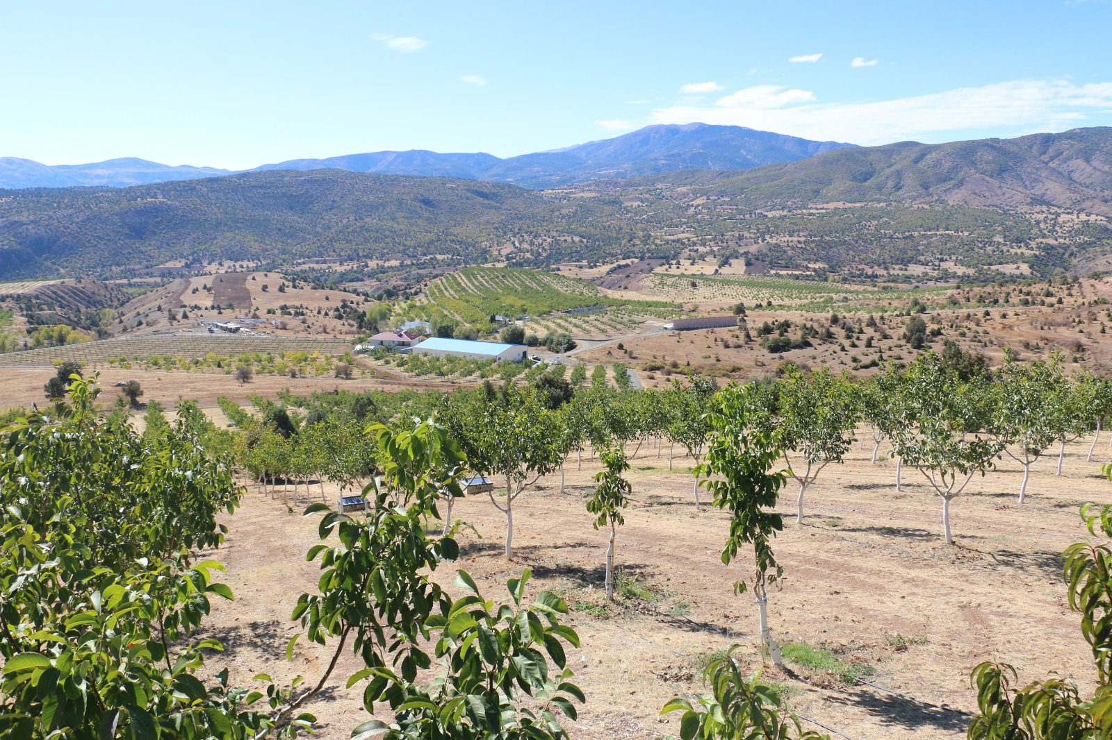 Erzincan’ın Kemah ilçesinde yer alan 1398 rakımlı Özdamar köyüne 2011
