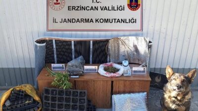 Erzincan İl Jandarma Komutanlığınca, Eylül ayı içerisinde icra edilen Asayiş,