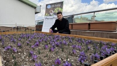 Ülkü Ocakları Genel Merkez binasının çatısında renkli görüntüler oluştu. Ülkü