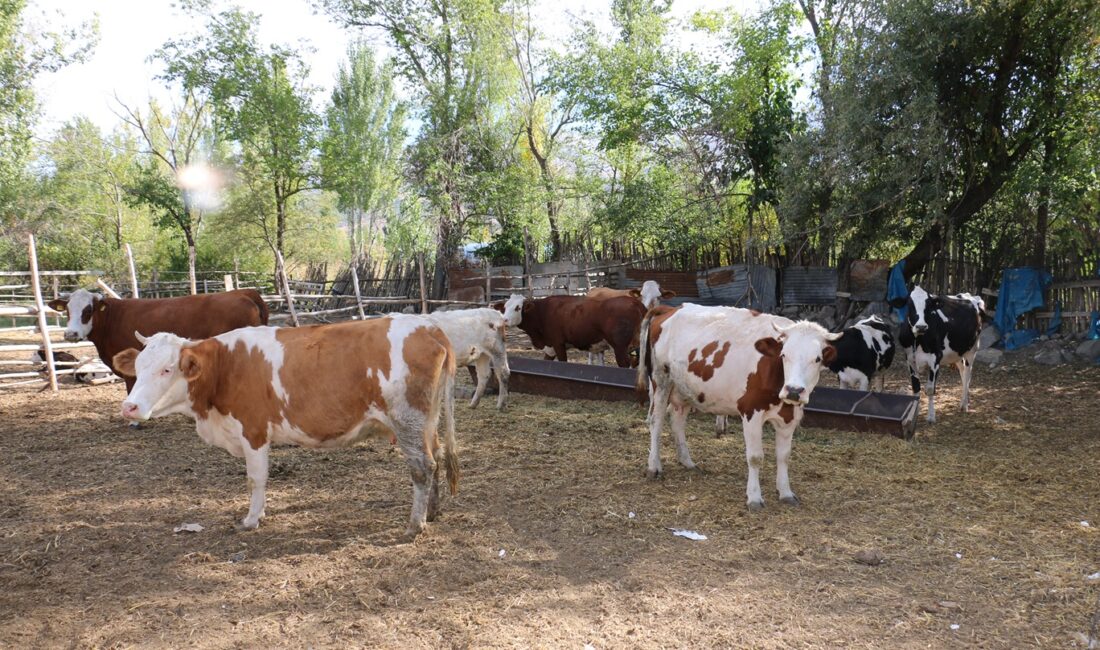 Tarım ve Orman Bakanlığı tarafından Kırsal Kalkınma Destekleri Kapsamında uygulanan