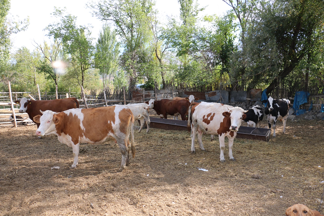 Tarım ve Orman Bakanlığı tarafından Kırsal Kalkınma Destekleri Kapsamında uygulanan