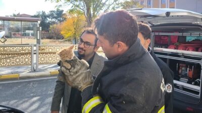 Otomobilin motor kısmına giren yavru kedi Erzincan Belediyesi İtfaiye ekiplerince