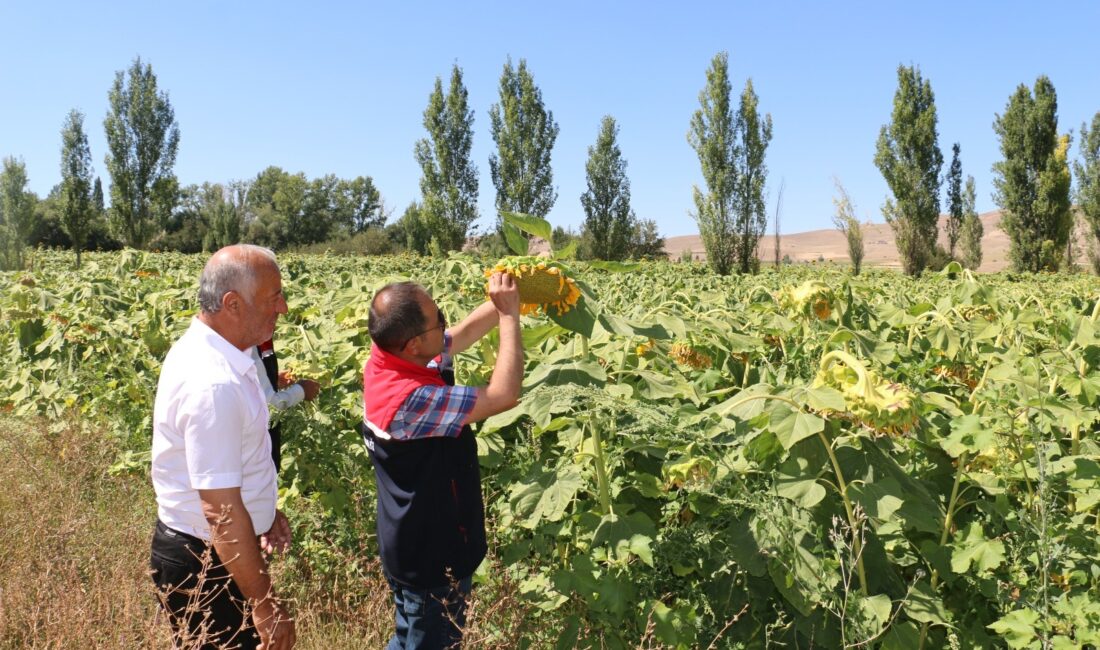 Erzincan’da 2026 üretim yılı için Çiftçi Kayıt Sistemi (ÇKS) başvurularında