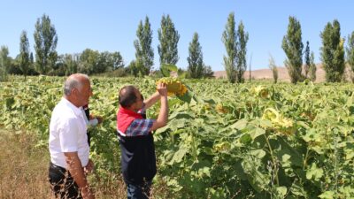 Erzincan’da 2026 üretim yılı için Çiftçi Kayıt Sistemi (ÇKS) başvurularında