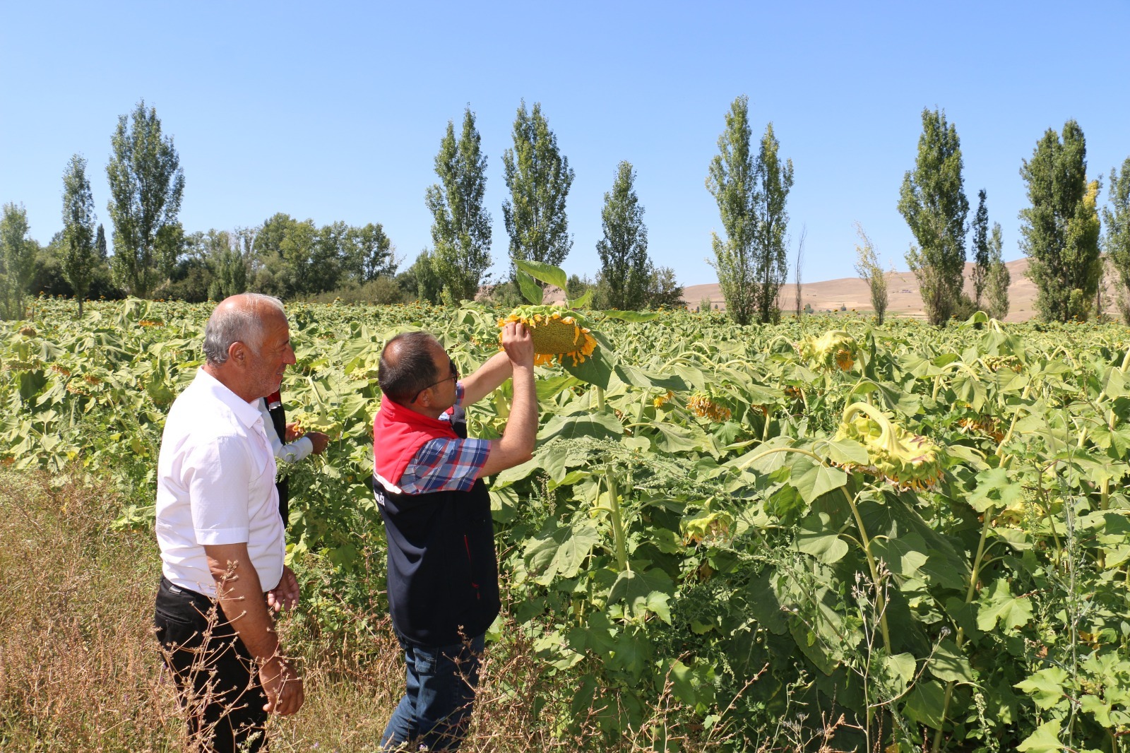 Erzincan’da 2026 üretim yılı için Çiftçi Kayıt Sistemi (ÇKS) başvurularında