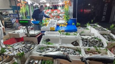 Balık sezonunun açılması ile birlikte Erzincan’da taze balıklar tezgâhlarda ki