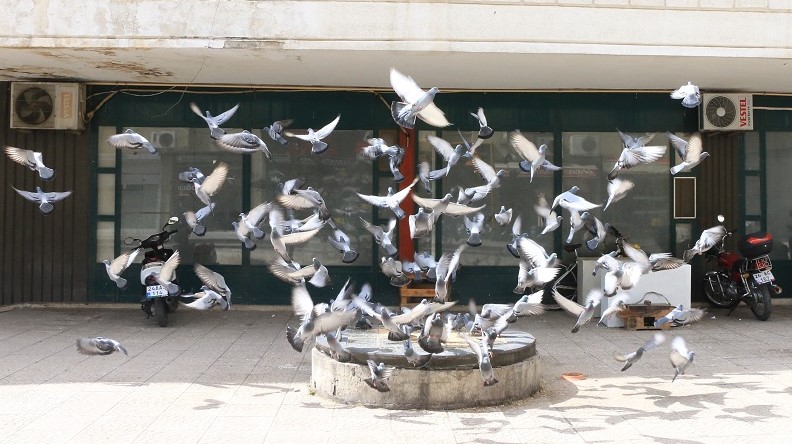 Erzincan Tarım ve Orman Müdürlüğü yazılı olarak yaptığı açıklamasında; Son