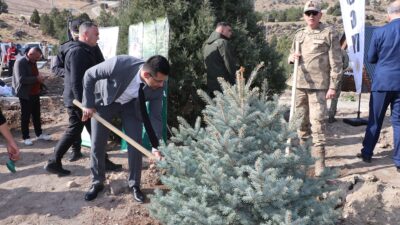 Tarım ve Orman Bakanlığı Orman Genel Müdürlüğü tarafından ülke genelinde
