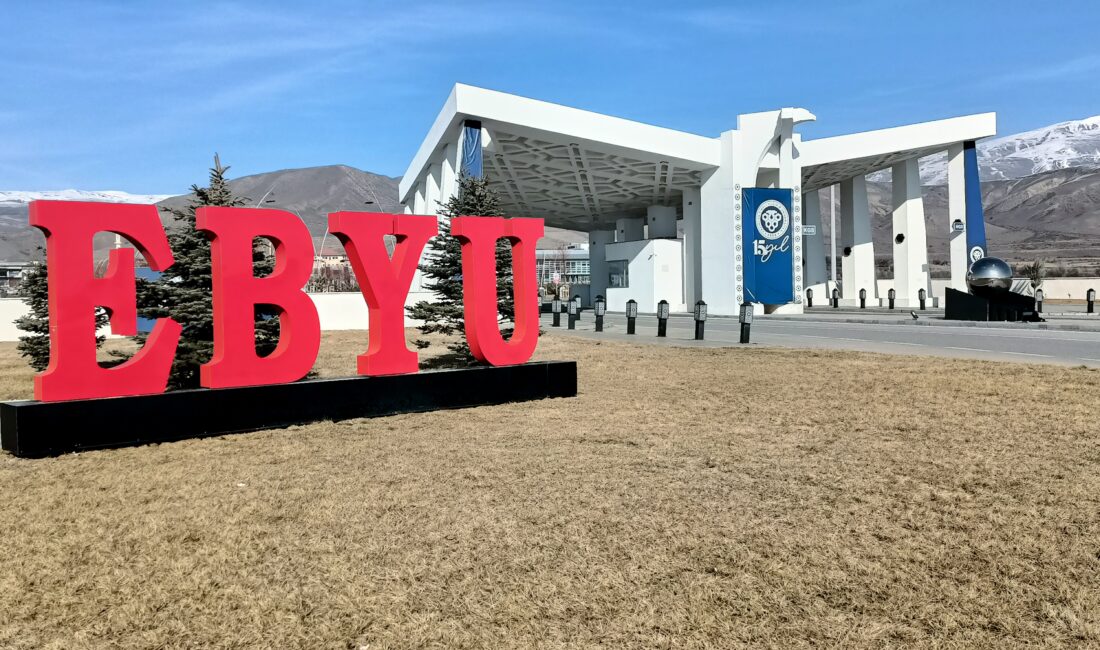 Times Higher Education (THE) tarafından bu yıl ilk kez açıklanan