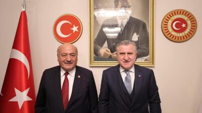 AK Parti Erzincan Milletvekili Süleyman Karaman, Gençlik ve Spor Bakanı