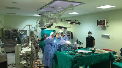 Toplam sağlık harcaması 2024 yılında bir önceki yıla göre yüzde